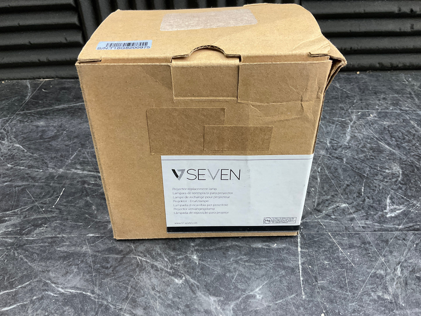 REPLACEMENT-LAMP-FOR-V13H010L63