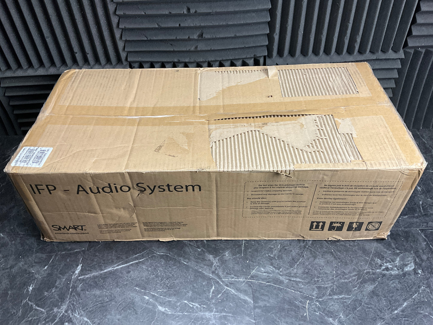 Smart-Technologies-Audio-System