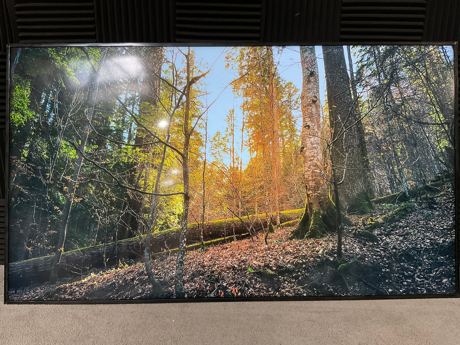 Samsung-75--Commercial-LED-LCD-Signage-Display--4K-