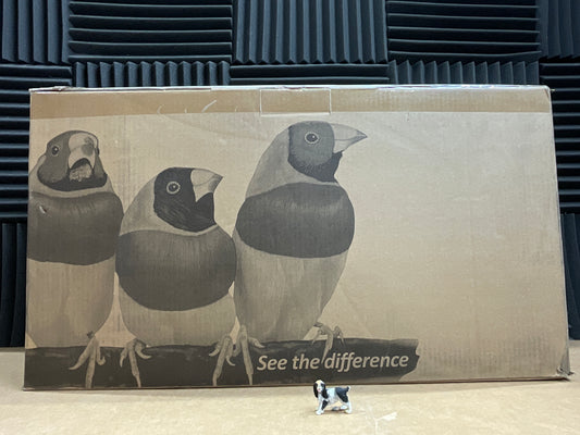 Viewsonic-VP2458-23-8--LCD-Monitor--1080p-