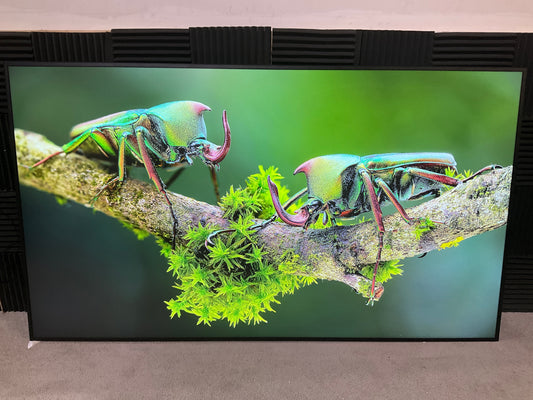 Panasonic-86--LED-LCD-Display--4K-