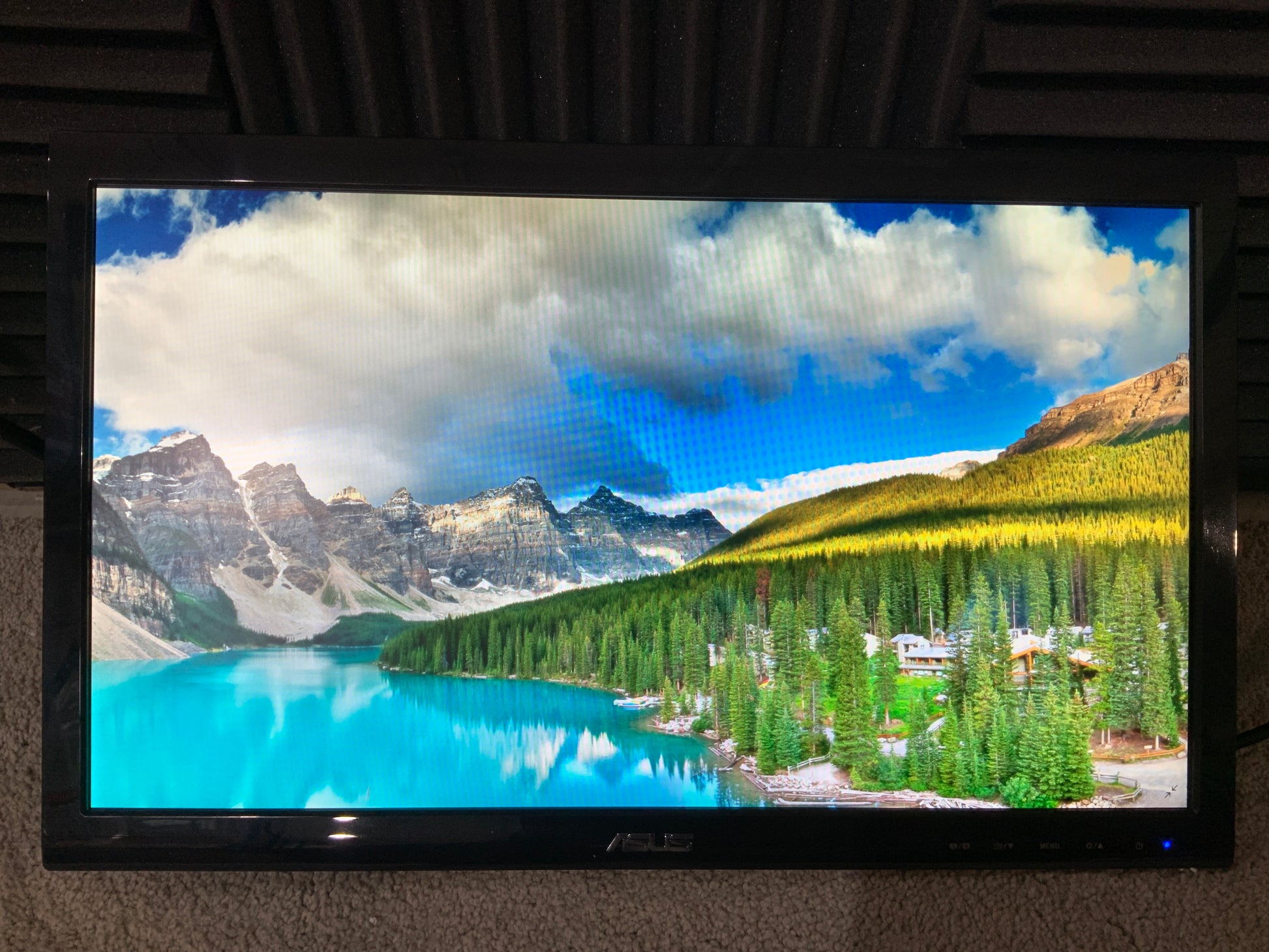 Asus-19-5--LED-LCD-Display