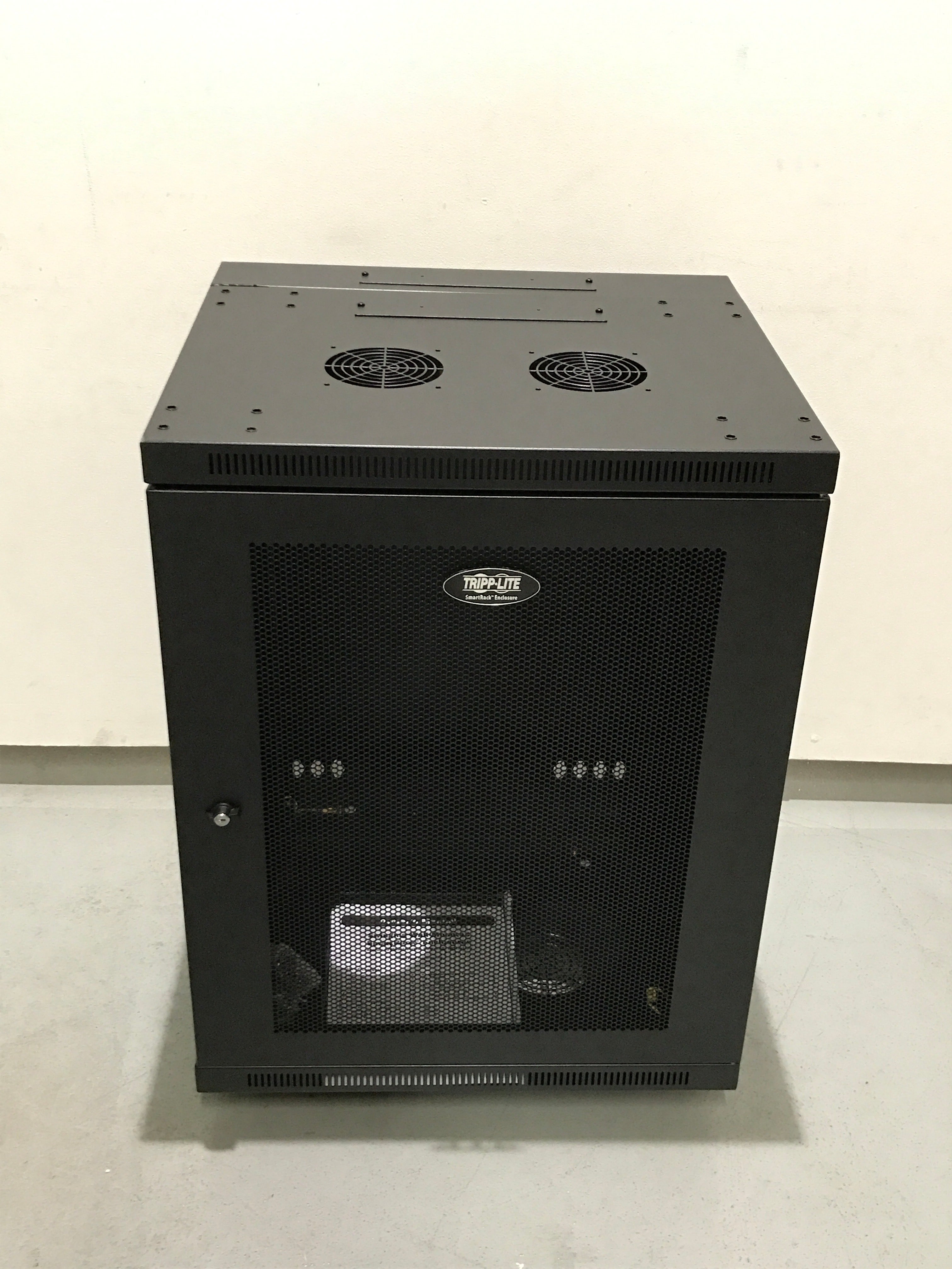 Tripp Lite SmartRack Slim Wall Mount Server Rack (15U) – Bstock