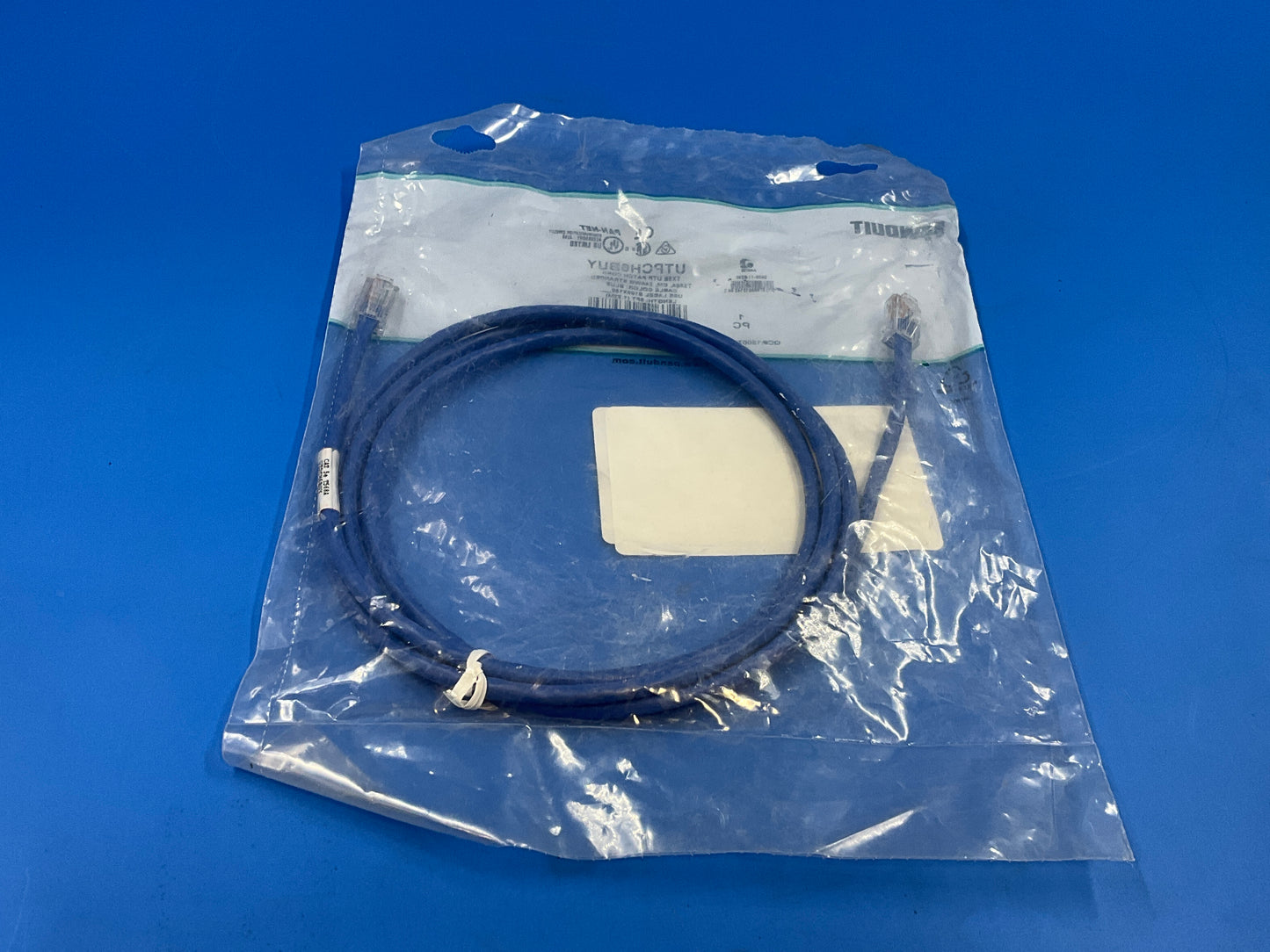 Panduit-CAT-6-Patch-Cable---6-feet--blue-