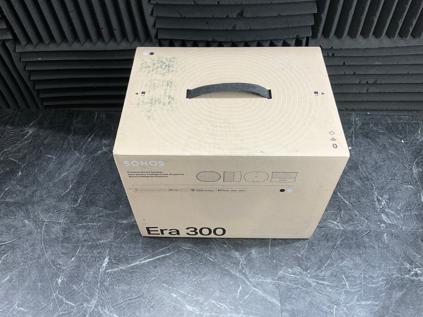 Sonos-Era-300--white-