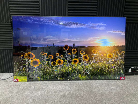 LG-55--OLED-TV--4K-